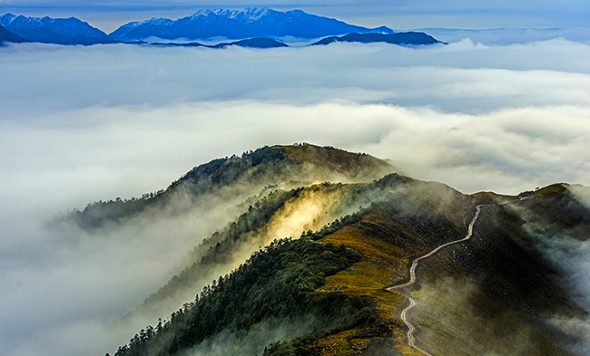 ����ϣ����williamhill(�й�)���Ĺ���